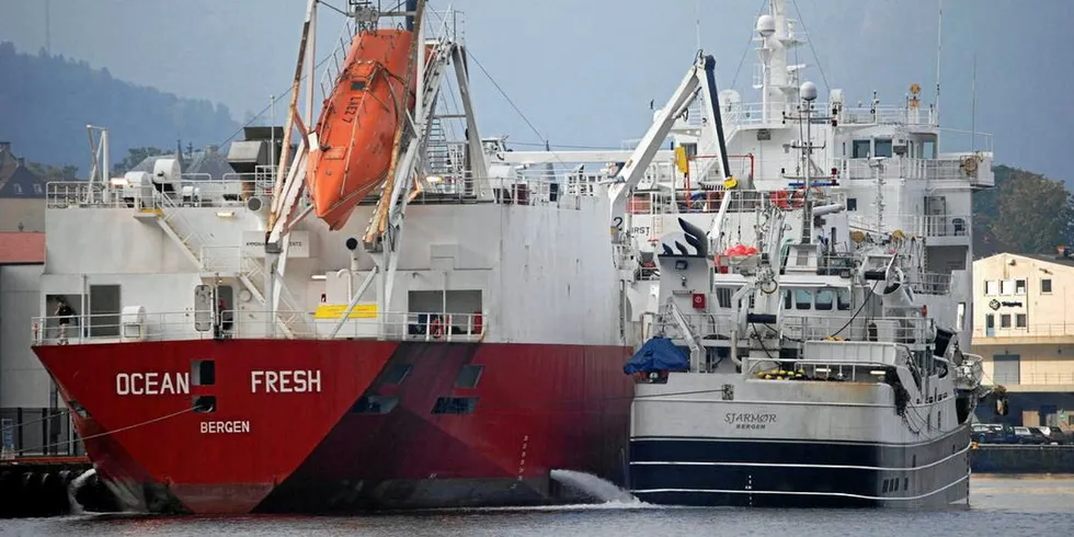 Fabrikkskipet «Ocean Fresh» ved Bontelabo i Bergen i 2013.