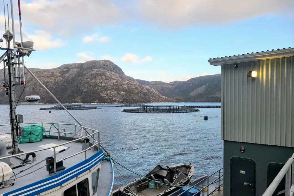 A Mowi Canada East salmon farming site. The division has struggled with sea lice and climate change incidents in the past several years.
