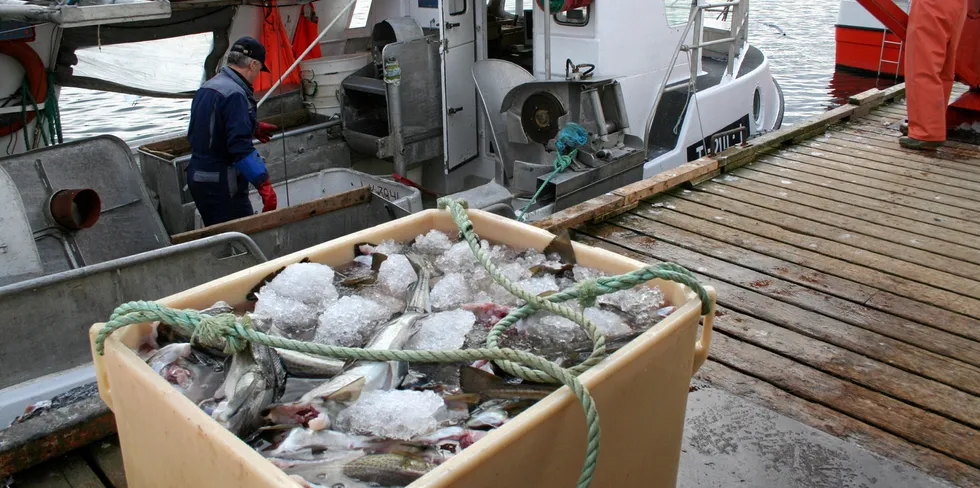 FEILSLÅTT: Fiskeripolitikken har ført til en sentralisering av de registrerte fiskerettighetene innad i fylkenes kommuner, men som til dels er eid og fjernstyrt fra andre fylker.