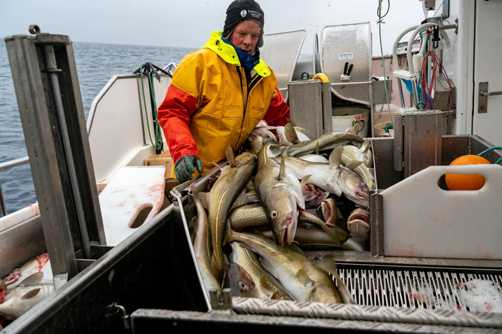 Scientists recommended a further 20 percent cut to the cod quota for 2024, reducing the total allowable catch (TAC) to 453,427 metric tons, the lowest level in 15 years.