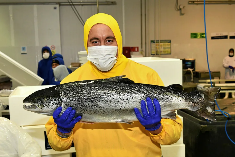 Chef Derek Wagner of the Chefs Collaborative and chef-owner of Nicks on Broadway Restaurant in Providence, Rhode Island, got a first-hand experience of salmon processing at Ventisqueros' Chincui processing plant in Puerto Montt.