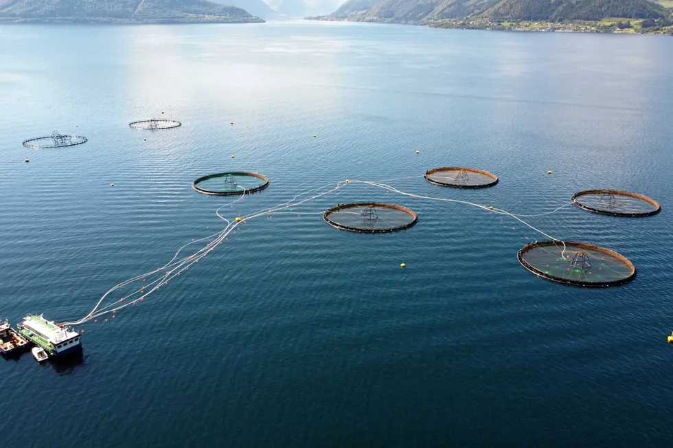 Ode sin lokalitet Alida i Voldsfjorden.