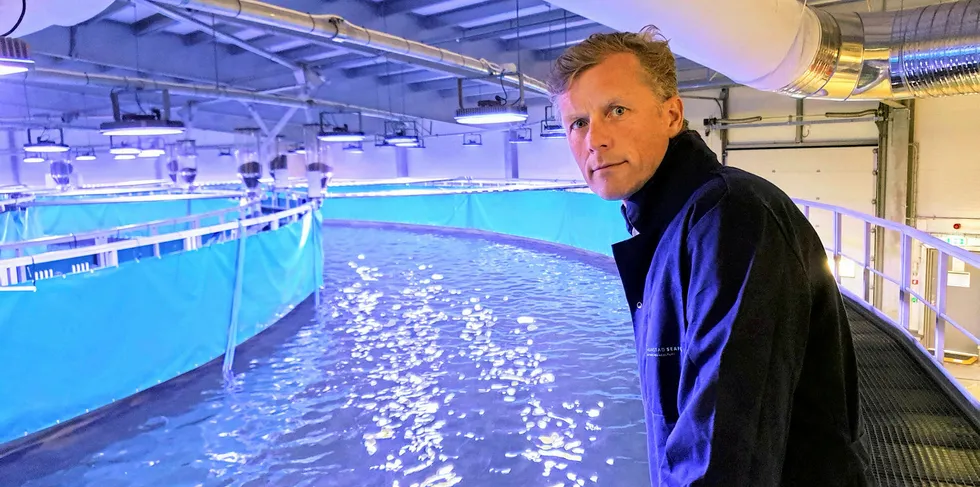 Bernt-Olav Røttingsnes er konsernsjef i Nordic Aquafarms, som blant annet eier Fredrikstad Seafood. Her på anlegget i Fredrikstad.