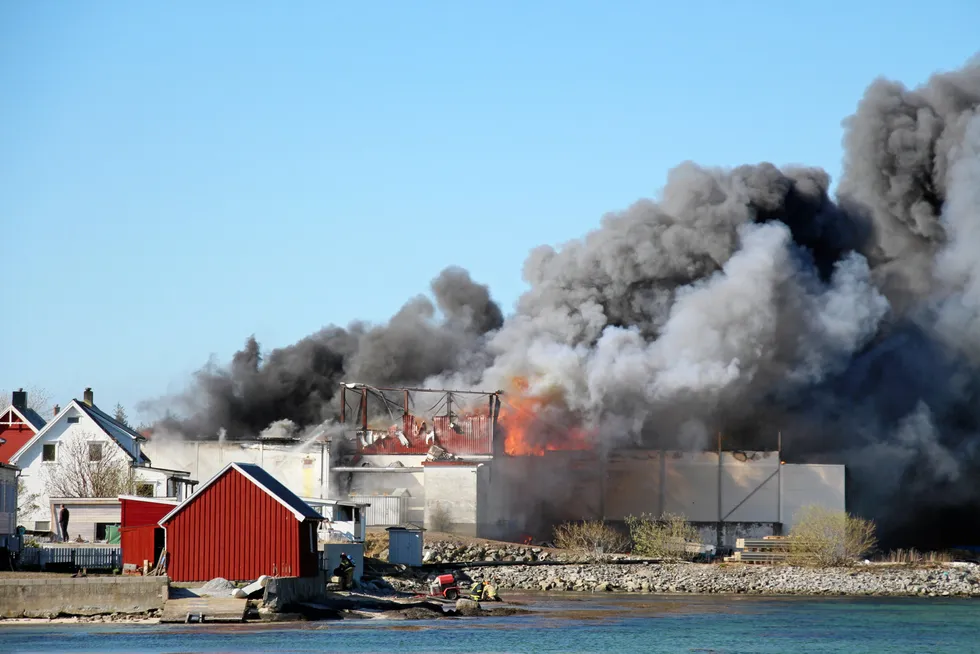 The alarm was raised around 9 AM at the cold storage plant, which was holding an estimated 50,000 kg of salmon.