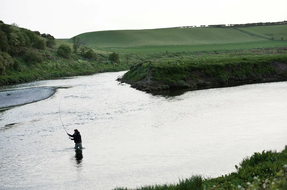 Villaksfangstene i de skotske elvene, som her i River Tweed, er rekordlave. Det kan indikere at det blir en dårlig sesong også i Norge.