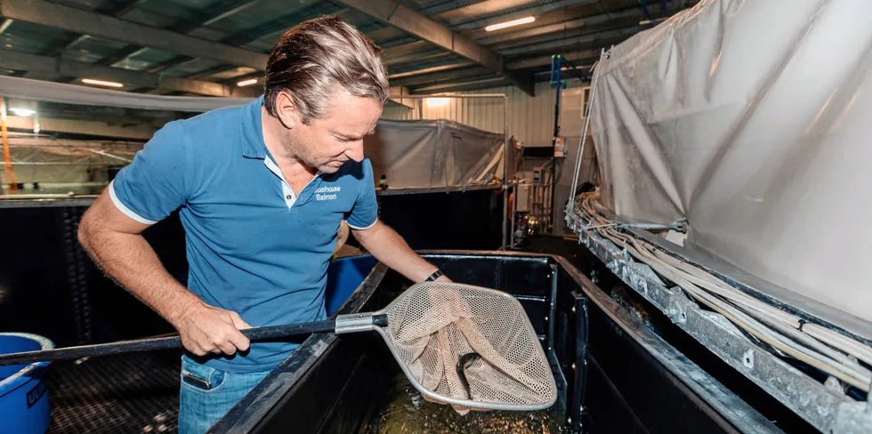 Johan Andreassen sjef i Atlantic Sapphire ser på en liten laks fra de gigantiske tankene.