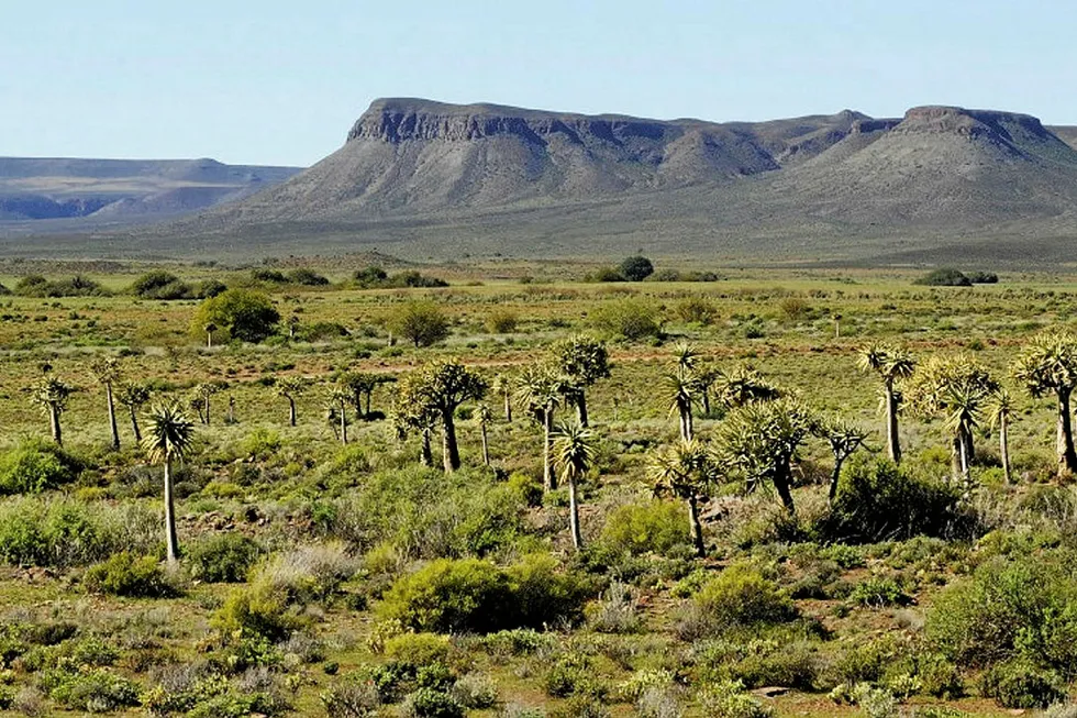 Karoo report: finds shale gas resource potential 'likely highly inflated'