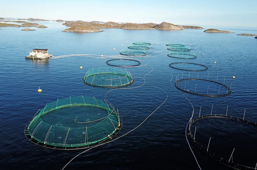 Akva Group hadde solid oppgang fra fjorårets tredje kvartal.