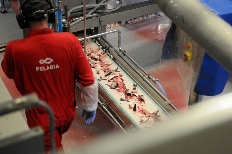 Pelagia er et av selskapene som har levert fisk som har endt opp på kinesiske fabrikker.