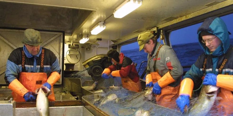 Skrei fiskes for levering til J. M Nilsen Fisk AS. Fra venstre: Helge Pettersen, Petter Pettersen, Karstein Olsen og Bernt Johnny Lund. Ill.foto: Bjørn Tore Forberg.