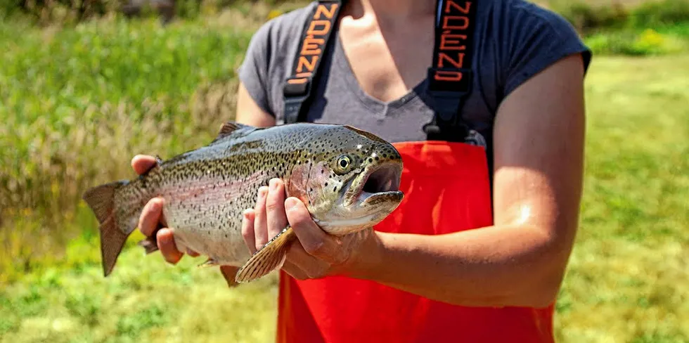 Riverence's acquisition of Clear Springs Foods creates America's largest farmed trout producer, with both steehead and rainbow trout in its pipeline.