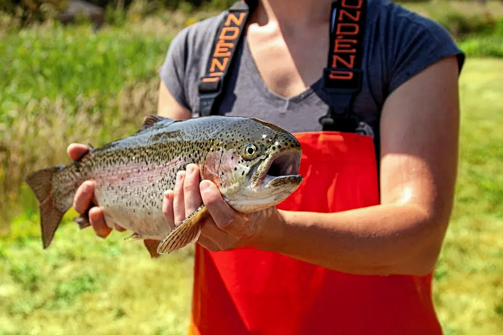 Riverence's acquisition of Clear Springs Foods creates America's largest farmed trout producer, with both steehead and rainbow trout in its pipeline.