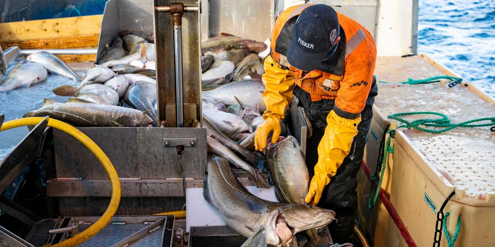 Det er ennå noen uker til fiskerinæringen får servert kvotemeldinga – hva den har å si om kvotefordelingen mellom hav og kyst, er fortsatt i det blå.