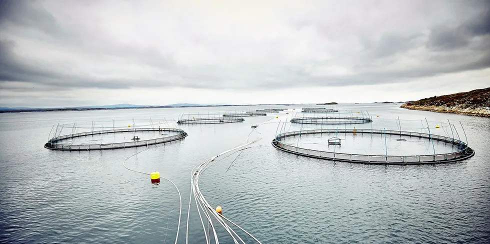 Lokaliteten Espnestaren i Frøya kommune tilhørende Måsøval Fiskeoppdrett.