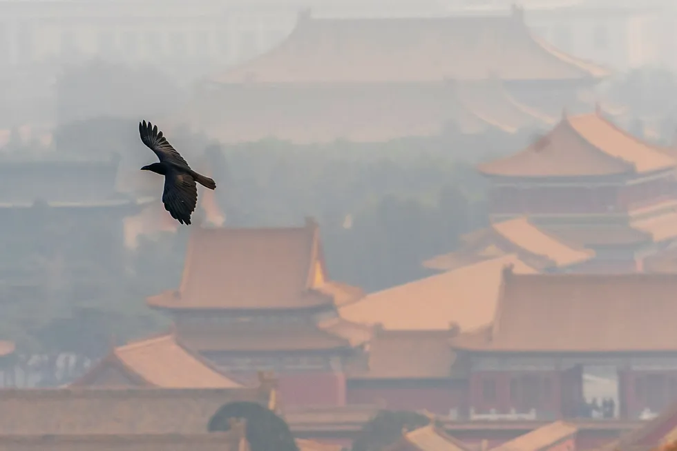 En ravn flyr over Den Forbudte By i Beijing i forurenset luft (smog) på mandag.