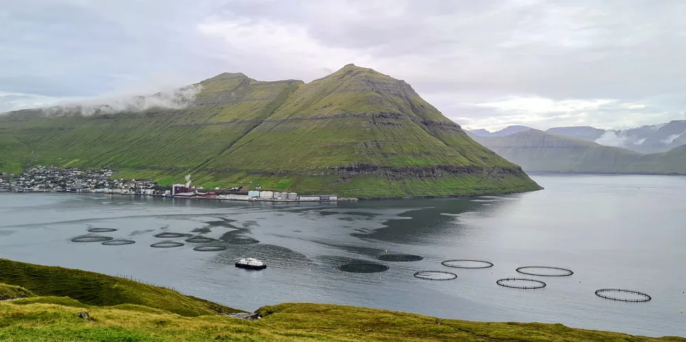 Et Bakkafrost-anlegg i Fuglarfjord på Færøyene. Bak ses Havsbrun, fabrikken for fiskemel, fiskeolje og laksefôr som Bakkafrost eier.