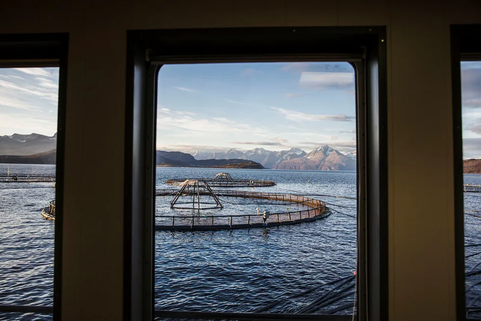 Havbruk kan seksdoble verdens matproduksjon og forsyne to tredjedeler av verdens befolkning med mat, ifølge en ny FN-rapport. Lerøy Aurora i Kågen ved Skjervøy i Nord-Troms.