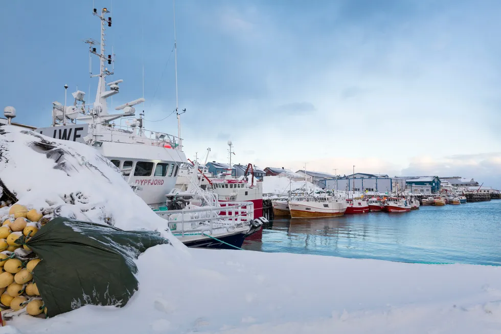For 40 år siden utgjorde statsstøtten til norske fiskerier 40 prosent av verdien av fiskefangsten, skriver Ola Flåten.