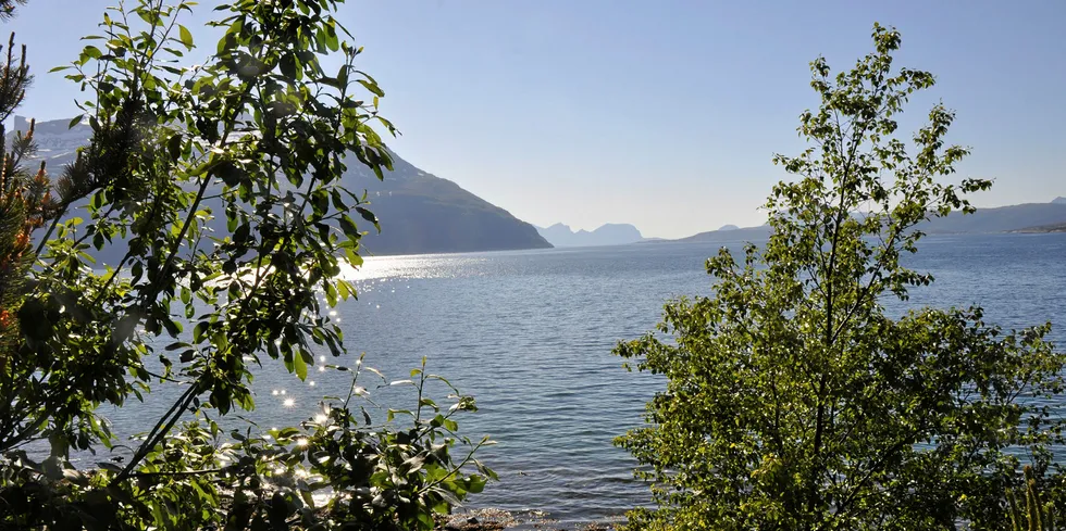 Utsnitt av Sagfjorden, sett fra tettstedet Innhavet som ligger i Hamarøy kommune i Nordland.