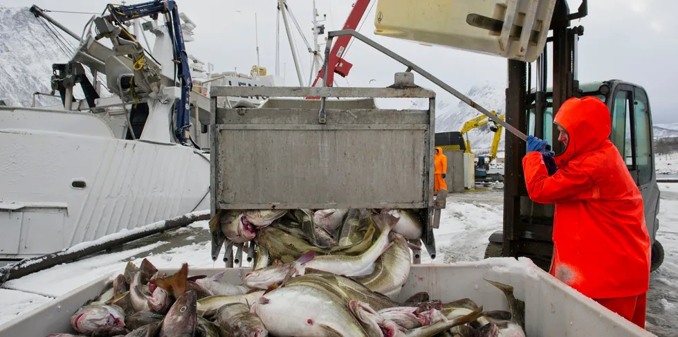 STORTINGSMELDING 2016: Stortingets behandling av Stortingsmeldingen om en konkurransekraftig sjømatindustri i 2016, handlet i stor grad også om fiskeflåtens rammevilkår, herunder spørsmålet om fremtidig fartøyutforming. Bildet er fra Norway Seafoods anlegg i Tromvik.