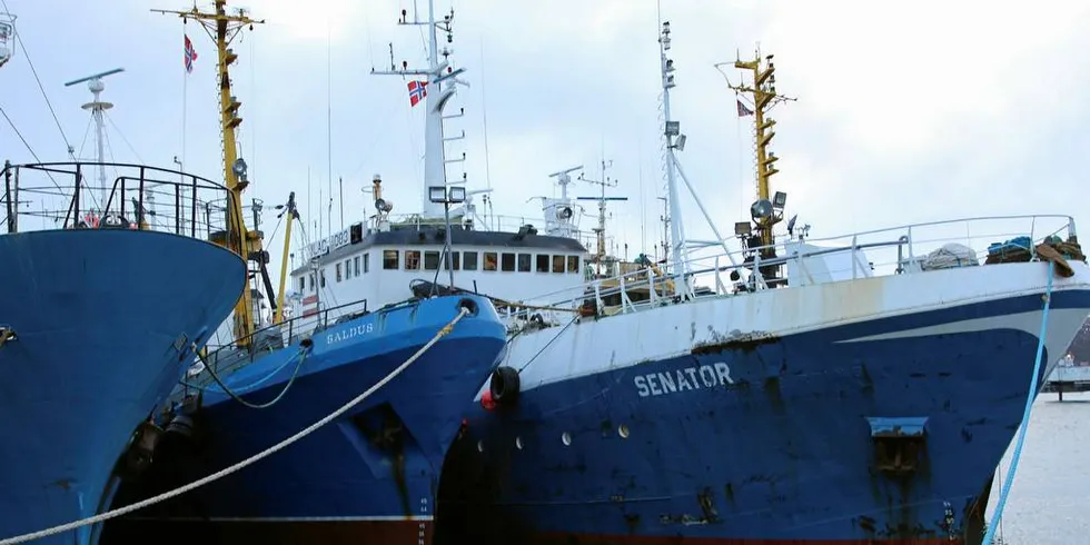 Rettssak: Snøkrabbebåten «Senators» rett til å fiske i Svalbardsonen er stridens kjerne i ankesaken. Båten har ligget til kai i Båtsfjord i snart ett år.Foto: Arne Fenstad