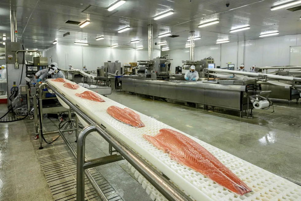 The companies will process salmon from their respective farms in the area at the new processing site, which is already under construction, Multiexport said in a note to Chile's financial regulator.