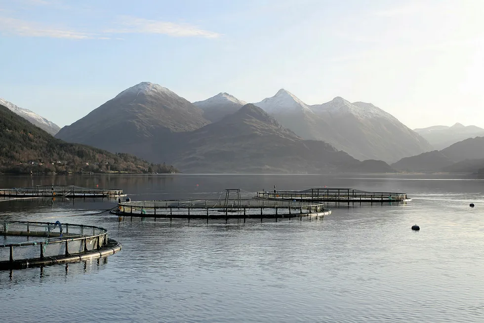 A Marine Harvest Scotland salmon farm on Loch Duich