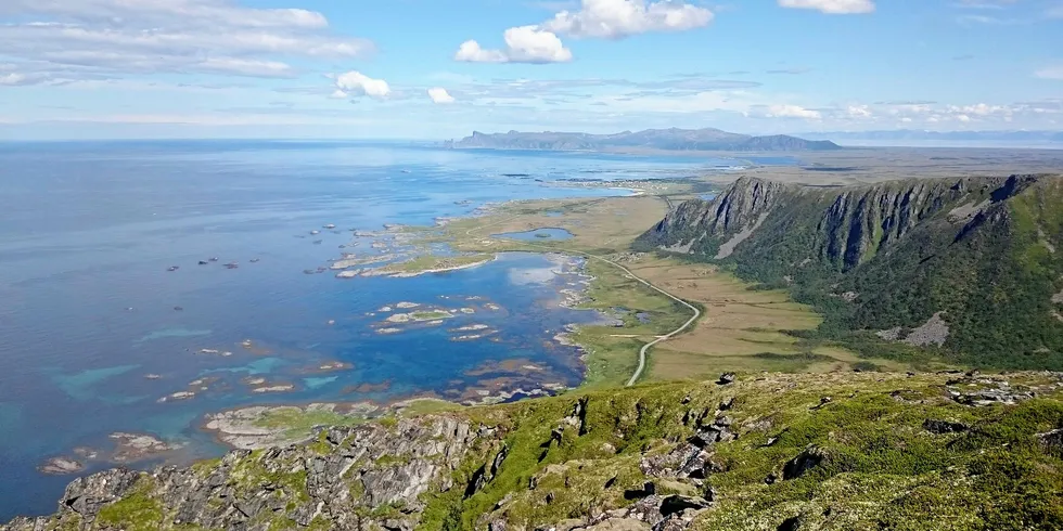 Parti fra Andøya. Kommunen trenger nye arbeidsplasser.