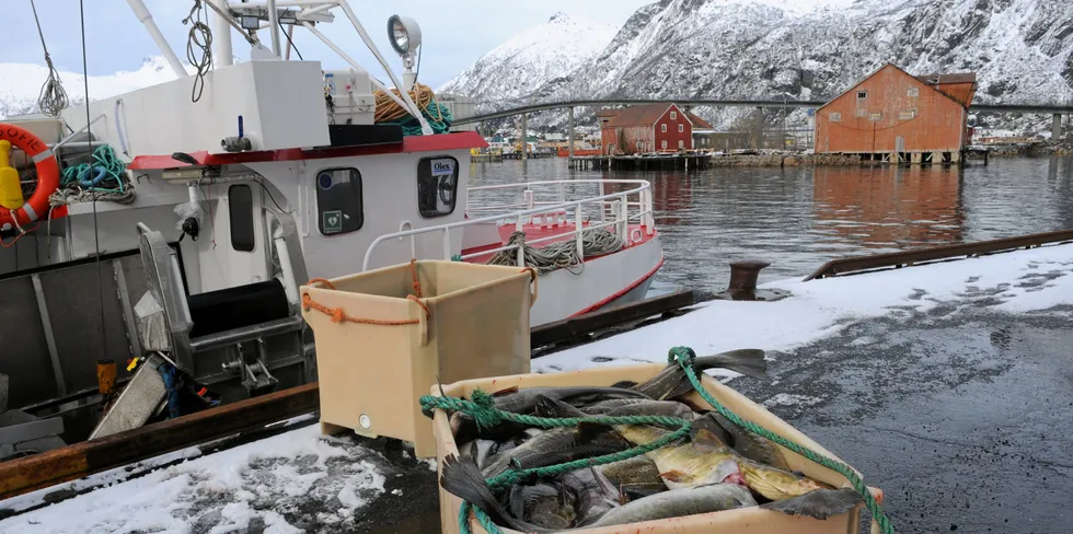 Sjarker i åpen gruppe lengst nord i landet har nå så bra tilgang på kvoter at det blir mer lønnsomt å selge sjarker i lukket gruppe for å slutte seg til åpen gruppe. Bildet er et illustrasjonsfoto.