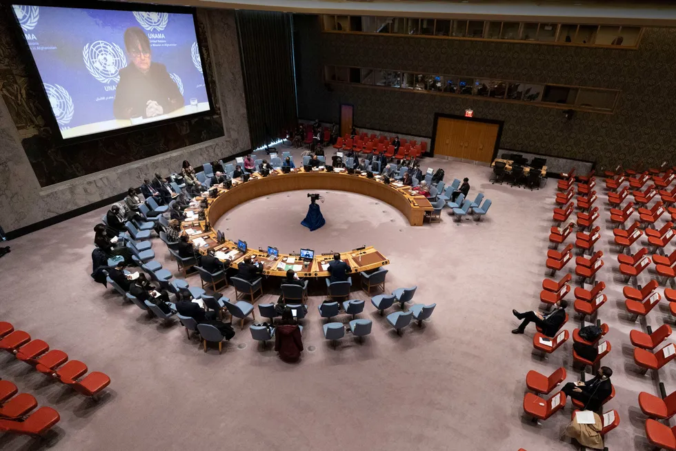 Sikkerhetsrådet tar til orde for en fredelig løsning i Ukraina.