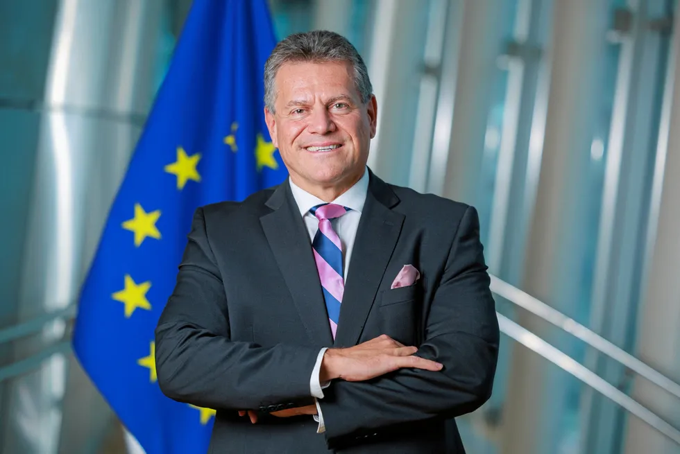 European Commission vice-president for the European Green Deal, Maroš Šefčovič.