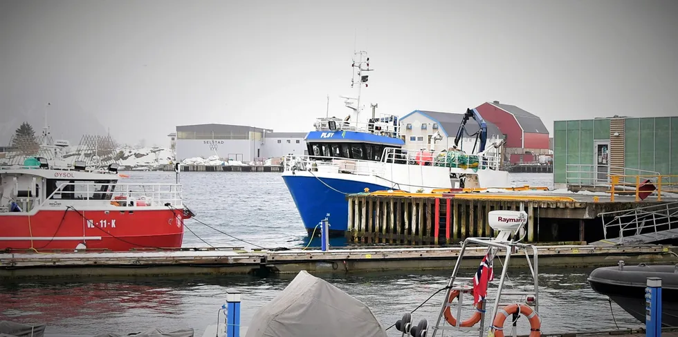 En mann i 40-årene er funnet omkommet i havna i Svolvær.