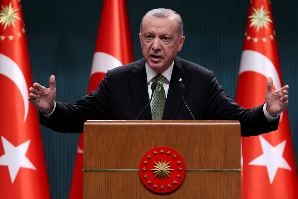 Tyrkias president Recep Tayyip Erdogan vil gjerne fremstå som en viktig internasjonal aktør som stormaktene må forholde seg til.