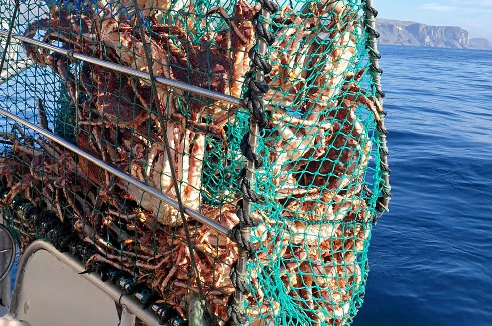 Fiskeren unnlot å røkte sine kongekrabbeiner i 14 dager. Nå må han møte i retten.