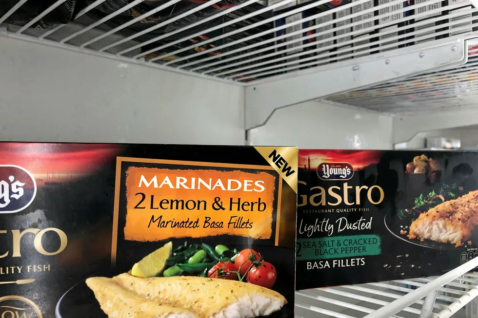 Young's basa Gastro range products in UK retail freezer.