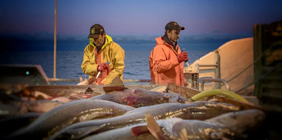 Det jobbes med nye kysttorsk-tiltak som skal bidra til å bygge opp bestanden i nord. Fiskeriministeren sier at hensynet til den minste flåten skal veie tyngst kystnært.