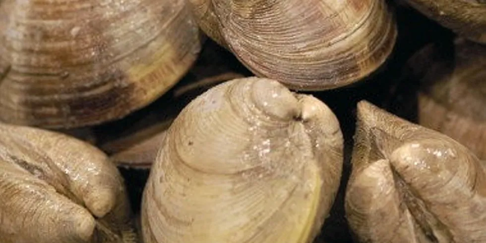 UK shellfish exporters are concerned about new EU import rules that could keep their product from moving into the bloc.