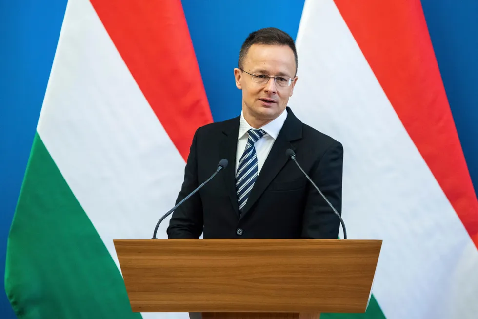 Forward thinking: Hungary Foreign Minister Peter Szijjarto.