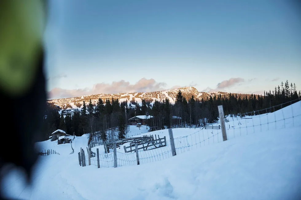 Daglig leder Odd Stensrud i Alpinco har begynt salget av hyttetomter i den nye fjellsiden de skal bygge ut. Foto: Per Thrana
