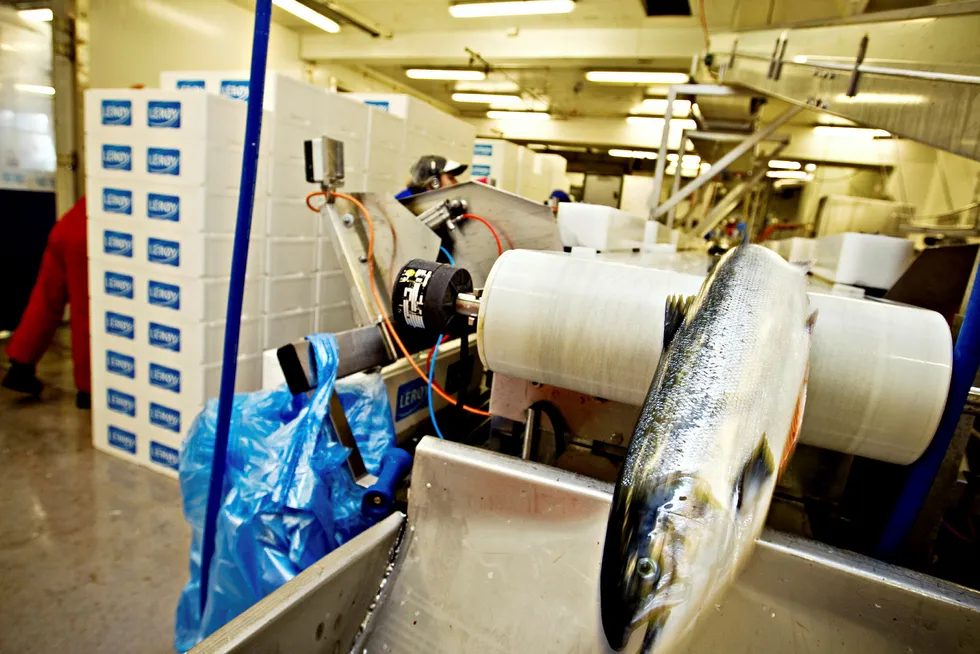 Austevoll Seafood kan notere seg for en nedgang fra seks til 5,7 milliarder kroner i fjorårets tre første måneder. Foto: Eivind Senneset