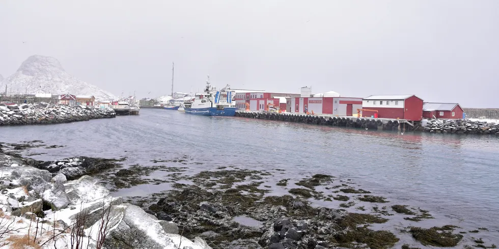 Hjørnesteinsbedriften Lofoten Viking på Værøy. Ifølge tall på bedriftens egen nettside, bearbeider anlegget årlig 70.000 tonn pelagisk fisk og 5000 tonn hvitfisk (2021).