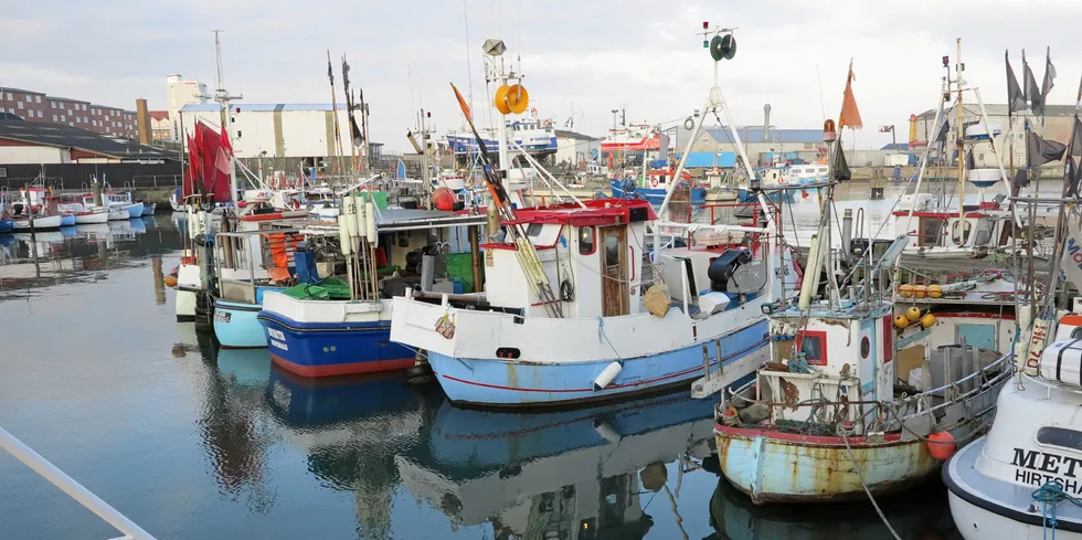 Danske krepsefiskere i Kattegat får nå krav om kameraovervåking i sorteringsristen, som et ledd i vernet av torskebestanden.