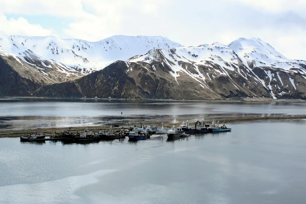 Alaska officials and industry members are longtime advocates for wild US seafood.