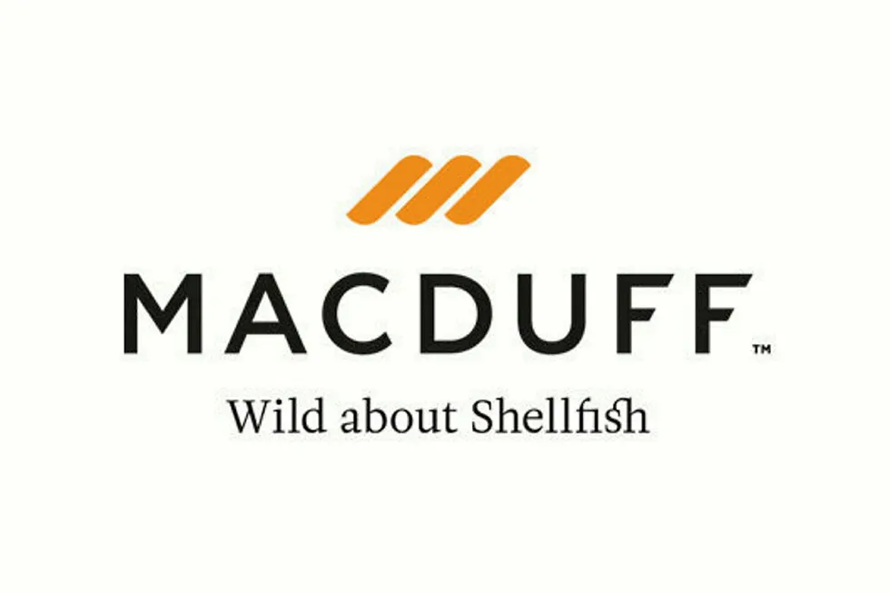 Macduff is focusing on four main species: wild scallops, langoustines, crabs and whelks.