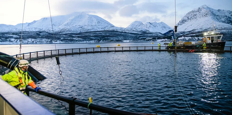 Glimt fra Lerøy Årøya i Lyngenfjorden.