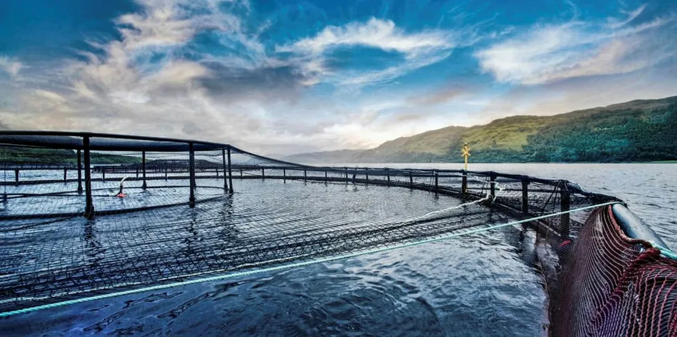 Merd på The Scottish Salmon Companys lokalitet i Loch Carron, Skottland.