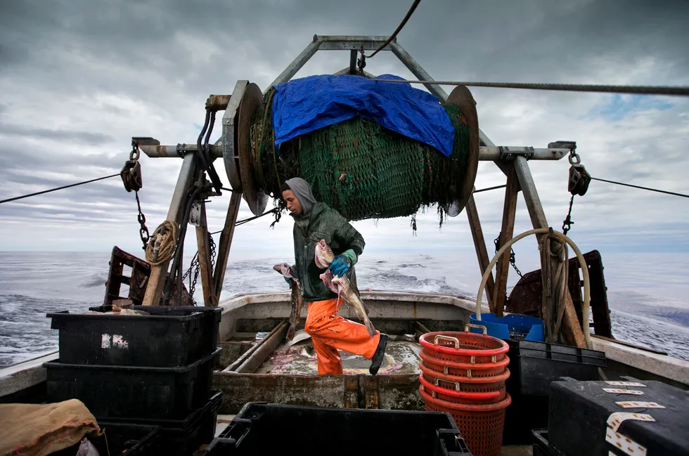 Canada ban: a fisherman carries cod caught by a trawler off the coast of New Hampshire, US, which shares control of the shallow-water Georges Bank with Canada