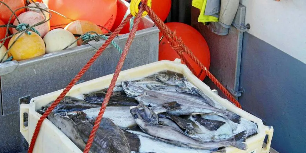 UTVIDET FARTSOMRÅDE: Sjøfartsdirektoratet har utvidet fartsområde for fiskeskipper klasse C. Illustrasjonsfoto: Frank Einar Iversen