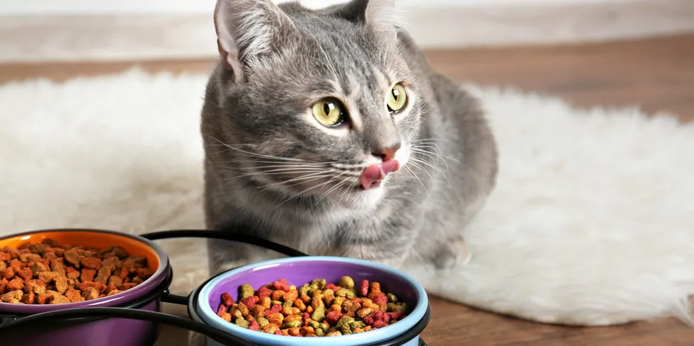 The pet food industry is a growing source for seafood products.