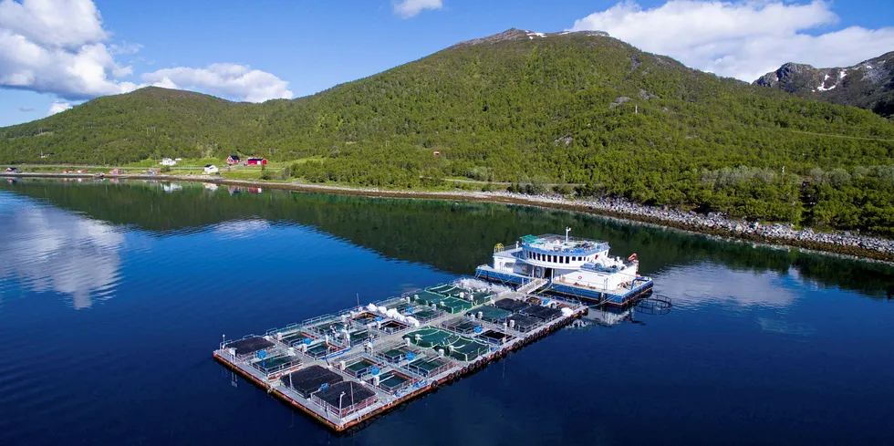 Universitetet i Tromsø eier sammen med Nofima en egen havbruksstasjon på Ringvassøya utenfor Tromsø.